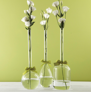 Super Glass Vase with Green Ribbon